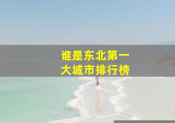 谁是东北第一大城市排行榜