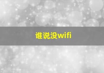 谁说没wifi