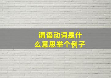 谓语动词是什么意思举个例子