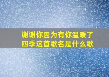 谢谢你因为有你温暖了四季这首歌名是什么歌