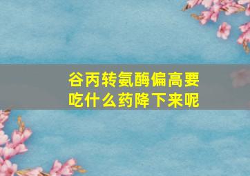 谷丙转氨酶偏高要吃什么药降下来呢