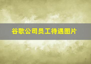 谷歌公司员工待遇图片