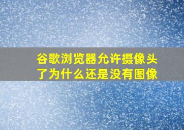 谷歌浏览器允许摄像头了为什么还是没有图像