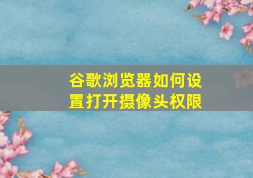 谷歌浏览器如何设置打开摄像头权限