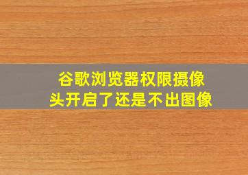 谷歌浏览器权限摄像头开启了还是不出图像