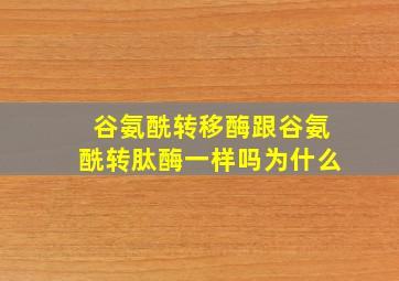 谷氨酰转移酶跟谷氨酰转肽酶一样吗为什么