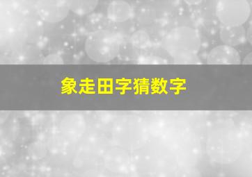 象走田字猜数字