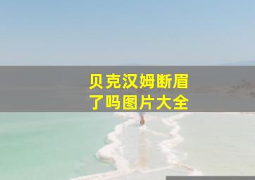 贝克汉姆断眉了吗图片大全