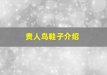 贵人鸟鞋子介绍