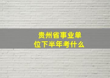 贵州省事业单位下半年考什么