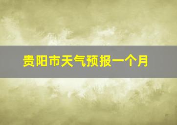 贵阳市天气预报一个月