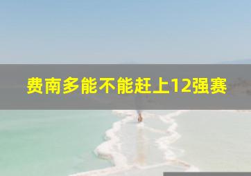 费南多能不能赶上12强赛