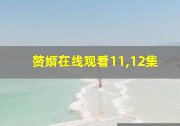 赘婿在线观看11,12集