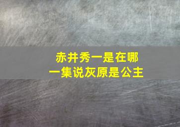 赤井秀一是在哪一集说灰原是公主