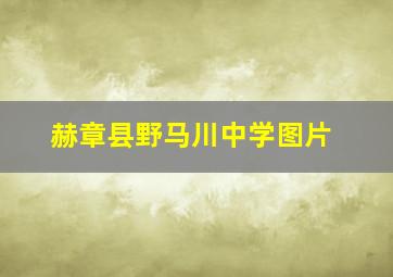 赫章县野马川中学图片