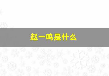 赵一鸣是什么