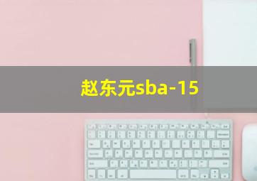 赵东元sba-15