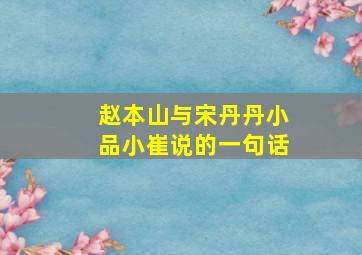 赵本山与宋丹丹小品小崔说的一句话