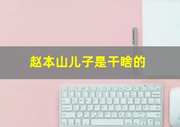 赵本山儿子是干啥的