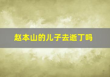 赵本山的儿子去逝丁吗