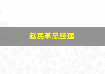 赵民革总经理