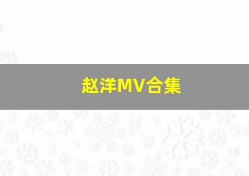 赵洋MV合集