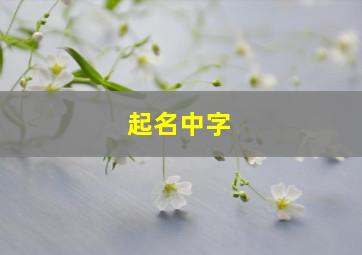 起名中字