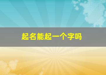 起名能起一个字吗