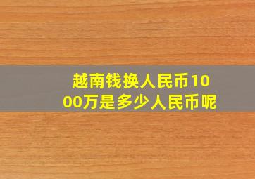 越南钱换人民币1000万是多少人民币呢