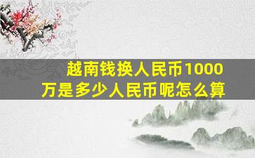 越南钱换人民币1000万是多少人民币呢怎么算