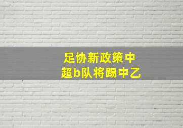 足协新政策中超b队将踢中乙