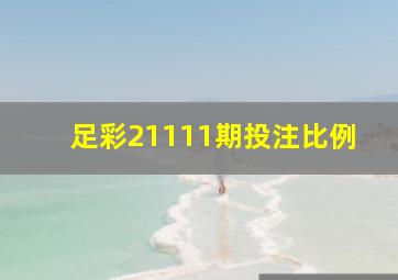 足彩21111期投注比例