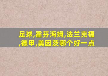 足球,霍芬海姆,法兰克福,德甲,美因茨哪个好一点