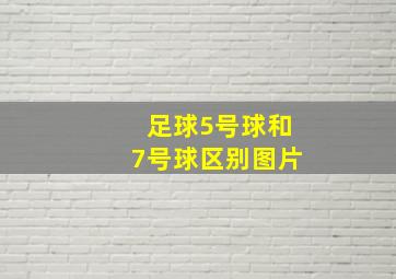 足球5号球和7号球区别图片