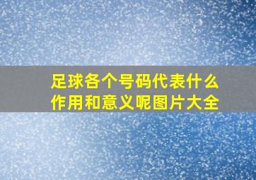 足球各个号码代表什么作用和意义呢图片大全