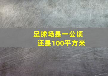 足球场是一公顷还是100平方米