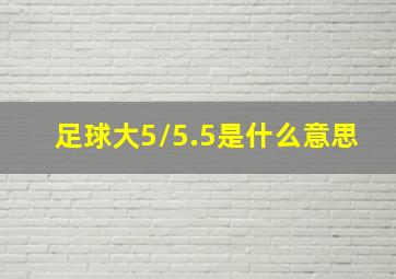 足球大5/5.5是什么意思