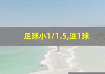 足球小1/1.5,进1球