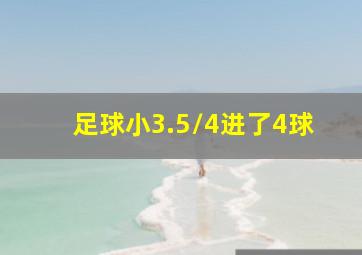 足球小3.5/4进了4球