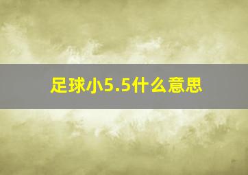 足球小5.5什么意思