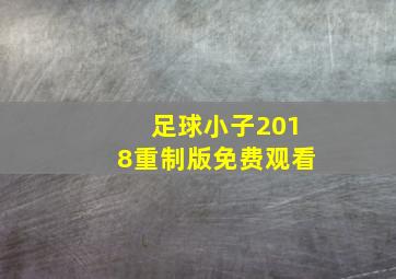 足球小子2018重制版免费观看