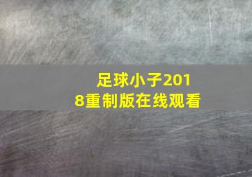 足球小子2018重制版在线观看