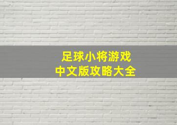 足球小将游戏中文版攻略大全