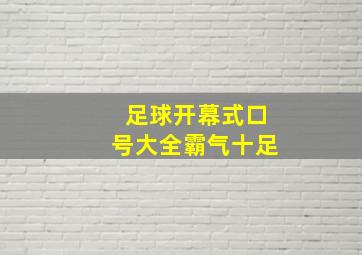 足球开幕式口号大全霸气十足