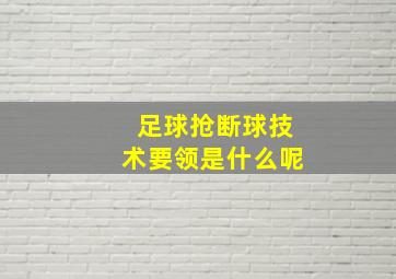 足球抢断球技术要领是什么呢