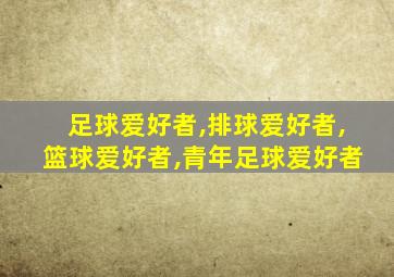 足球爱好者,排球爱好者,篮球爱好者,青年足球爱好者