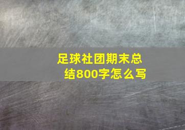 足球社团期末总结800字怎么写