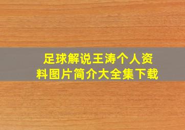 足球解说王涛个人资料图片简介大全集下载