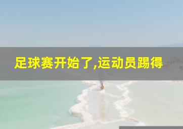 足球赛开始了,运动员踢得