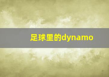 足球里的dynamo